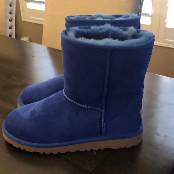 bright blue uggs